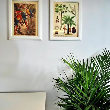 Sea View, 200 M Do Monte Cassino Grottgera 6, Sopot Apartment Exterior photo